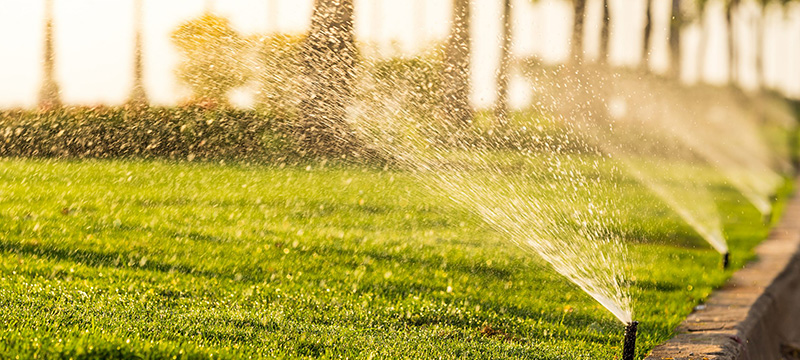 smart-irrigation-city